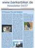 bb0407e.pdf